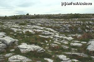 [P22] Limestone la Poulnabrone Dolmen » foto by ariciu*
 - 
<span class="allrVoted glyphicon glyphicon-heart hidden" id="av511338"></span>
<a class="m-l-10 hidden" id="sv511338" onclick="voting_Foto_DelVot(,511338,10242)" role="button">șterge vot <span class="glyphicon glyphicon-remove"></span></a>
<a id="v9511338" class=" c-red"  onclick="voting_Foto_SetVot(511338)" role="button"><span class="glyphicon glyphicon-heart-empty"></span> <b>LIKE</b> = Votează poza</a> <img class="hidden"  id="f511338W9" src="/imagini/loader.gif" border="0" /><span class="AjErrMes hidden" id="e511338ErM"></span>