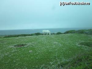 [P45] Tot pe coasta Atlanticului. Asta a fost de vis...  » foto by ariciu*
 - 
<span class="allrVoted glyphicon glyphicon-heart hidden" id="av511361"></span>
<a class="m-l-10 hidden" id="sv511361" onclick="voting_Foto_DelVot(,511361,10242)" role="button">șterge vot <span class="glyphicon glyphicon-remove"></span></a>
<a id="v9511361" class=" c-red"  onclick="voting_Foto_SetVot(511361)" role="button"><span class="glyphicon glyphicon-heart-empty"></span> <b>LIKE</b> = Votează poza</a> <img class="hidden"  id="f511361W9" src="/imagini/loader.gif" border="0" /><span class="AjErrMes hidden" id="e511361ErM"></span>