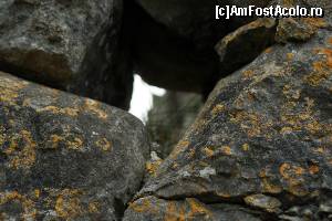 [P57] Din nou culorile Irlandei...  » foto by ariciu*
 - 
<span class="allrVoted glyphicon glyphicon-heart hidden" id="av511373"></span>
<a class="m-l-10 hidden" id="sv511373" onclick="voting_Foto_DelVot(,511373,10242)" role="button">șterge vot <span class="glyphicon glyphicon-remove"></span></a>
<a id="v9511373" class=" c-red"  onclick="voting_Foto_SetVot(511373)" role="button"><span class="glyphicon glyphicon-heart-empty"></span> <b>LIKE</b> = Votează poza</a> <img class="hidden"  id="f511373W9" src="/imagini/loader.gif" border="0" /><span class="AjErrMes hidden" id="e511373ErM"></span>