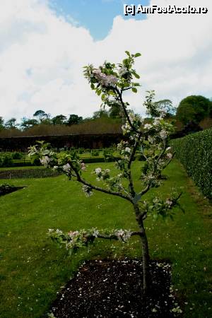 [P55] Victorian Gardens » foto by le_maitre
 - 
<span class="allrVoted glyphicon glyphicon-heart hidden" id="av512653"></span>
<a class="m-l-10 hidden" id="sv512653" onclick="voting_Foto_DelVot(,512653,10242)" role="button">șterge vot <span class="glyphicon glyphicon-remove"></span></a>
<a id="v9512653" class=" c-red"  onclick="voting_Foto_SetVot(512653)" role="button"><span class="glyphicon glyphicon-heart-empty"></span> <b>LIKE</b> = Votează poza</a> <img class="hidden"  id="f512653W9" src="/imagini/loader.gif" border="0" /><span class="AjErrMes hidden" id="e512653ErM"></span>