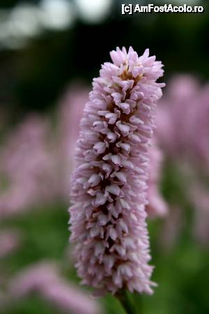 [P57] Victorian Gardens » foto by le_maitre
 - 
<span class="allrVoted glyphicon glyphicon-heart hidden" id="av512655"></span>
<a class="m-l-10 hidden" id="sv512655" onclick="voting_Foto_DelVot(,512655,10242)" role="button">șterge vot <span class="glyphicon glyphicon-remove"></span></a>
<a id="v9512655" class=" c-red"  onclick="voting_Foto_SetVot(512655)" role="button"><span class="glyphicon glyphicon-heart-empty"></span> <b>LIKE</b> = Votează poza</a> <img class="hidden"  id="f512655W9" src="/imagini/loader.gif" border="0" /><span class="AjErrMes hidden" id="e512655ErM"></span>