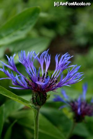 [P58] Victorian Gardens » foto by le_maitre
 - 
<span class="allrVoted glyphicon glyphicon-heart hidden" id="av512656"></span>
<a class="m-l-10 hidden" id="sv512656" onclick="voting_Foto_DelVot(,512656,10242)" role="button">șterge vot <span class="glyphicon glyphicon-remove"></span></a>
<a id="v9512656" class=" c-red"  onclick="voting_Foto_SetVot(512656)" role="button"><span class="glyphicon glyphicon-heart-empty"></span> <b>LIKE</b> = Votează poza</a> <img class="hidden"  id="f512656W9" src="/imagini/loader.gif" border="0" /><span class="AjErrMes hidden" id="e512656ErM"></span>