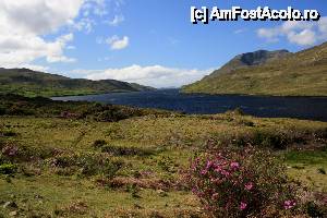 [P73] Killary Fjord » foto by le_maitre
 - 
<span class="allrVoted glyphicon glyphicon-heart hidden" id="av512671"></span>
<a class="m-l-10 hidden" id="sv512671" onclick="voting_Foto_DelVot(,512671,10242)" role="button">șterge vot <span class="glyphicon glyphicon-remove"></span></a>
<a id="v9512671" class=" c-red"  onclick="voting_Foto_SetVot(512671)" role="button"><span class="glyphicon glyphicon-heart-empty"></span> <b>LIKE</b> = Votează poza</a> <img class="hidden"  id="f512671W9" src="/imagini/loader.gif" border="0" /><span class="AjErrMes hidden" id="e512671ErM"></span>