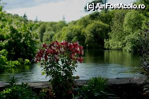 [P90] Cong - micul lac din apropierea abației » foto by le_maitre
 - 
<span class="allrVoted glyphicon glyphicon-heart hidden" id="av512688"></span>
<a class="m-l-10 hidden" id="sv512688" onclick="voting_Foto_DelVot(,512688,10242)" role="button">șterge vot <span class="glyphicon glyphicon-remove"></span></a>
<a id="v9512688" class=" c-red"  onclick="voting_Foto_SetVot(512688)" role="button"><span class="glyphicon glyphicon-heart-empty"></span> <b>LIKE</b> = Votează poza</a> <img class="hidden"  id="f512688W9" src="/imagini/loader.gif" border="0" /><span class="AjErrMes hidden" id="e512688ErM"></span>