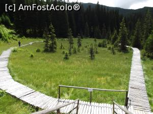 [P16] Turbaria Laptici. » foto by ascent
 - 
<span class="allrVoted glyphicon glyphicon-heart hidden" id="av1187627"></span>
<a class="m-l-10 hidden" id="sv1187627" onclick="voting_Foto_DelVot(,1187627,10247)" role="button">șterge vot <span class="glyphicon glyphicon-remove"></span></a>
<a id="v91187627" class=" c-red"  onclick="voting_Foto_SetVot(1187627)" role="button"><span class="glyphicon glyphicon-heart-empty"></span> <b>LIKE</b> = Votează poza</a> <img class="hidden"  id="f1187627W9" src="/imagini/loader.gif" border="0" /><span class="AjErrMes hidden" id="e1187627ErM"></span>