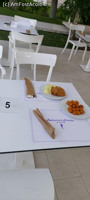 [P04]  -- <small>// FĂRĂ DESCRIERE</small> » foto by cristi_negru
 - 
<span class="allrVoted glyphicon glyphicon-heart hidden" id="av1176548"></span>
<a class="m-l-10 hidden" id="sv1176548" onclick="voting_Foto_DelVot(,1176548,10248)" role="button">șterge vot <span class="glyphicon glyphicon-remove"></span></a>
<a id="v91176548" class=" c-red"  onclick="voting_Foto_SetVot(1176548)" role="button"><span class="glyphicon glyphicon-heart-empty"></span> <b>LIKE</b> = Votează poza</a> <img class="hidden"  id="f1176548W9" src="/imagini/loader.gif" border="0" /><span class="AjErrMes hidden" id="e1176548ErM"></span>
