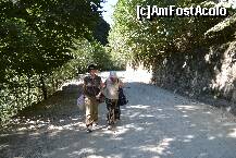 [P08] Cu mama catinel la intoarcere.Pentru ca nu era semnalizat nicaieri un loc de parcare masinile faceau drum dus-intors pana la pestera ridicand de doua ori praful pana la crengile copacilor. » foto by TEOANCA
 - 
<span class="allrVoted glyphicon glyphicon-heart hidden" id="av262136"></span>
<a class="m-l-10 hidden" id="sv262136" onclick="voting_Foto_DelVot(,262136,10257)" role="button">șterge vot <span class="glyphicon glyphicon-remove"></span></a>
<a id="v9262136" class=" c-red"  onclick="voting_Foto_SetVot(262136)" role="button"><span class="glyphicon glyphicon-heart-empty"></span> <b>LIKE</b> = Votează poza</a> <img class="hidden"  id="f262136W9" src="/imagini/loader.gif" border="0" /><span class="AjErrMes hidden" id="e262136ErM"></span>