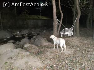 [P04] Pârâul-loc de relaxare » foto by FrancescaClara
 - 
<span class="allrVoted glyphicon glyphicon-heart hidden" id="av1455185"></span>
<a class="m-l-10 hidden" id="sv1455185" onclick="voting_Foto_DelVot(,1455185,10274)" role="button">șterge vot <span class="glyphicon glyphicon-remove"></span></a>
<a id="v91455185" class=" c-red"  onclick="voting_Foto_SetVot(1455185)" role="button"><span class="glyphicon glyphicon-heart-empty"></span> <b>LIKE</b> = Votează poza</a> <img class="hidden"  id="f1455185W9" src="/imagini/loader.gif" border="0" /><span class="AjErrMes hidden" id="e1455185ErM"></span>