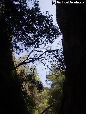 [P23]  -- <small>// FĂRĂ DESCRIERE</small> » foto by alinaro
 - 
<span class="allrVoted glyphicon glyphicon-heart hidden" id="av572672"></span>
<a class="m-l-10 hidden" id="sv572672" onclick="voting_Foto_DelVot(,572672,10280)" role="button">șterge vot <span class="glyphicon glyphicon-remove"></span></a>
<a id="v9572672" class=" c-red"  onclick="voting_Foto_SetVot(572672)" role="button"><span class="glyphicon glyphicon-heart-empty"></span> <b>LIKE</b> = Votează poza</a> <img class="hidden"  id="f572672W9" src="/imagini/loader.gif" border="0" /><span class="AjErrMes hidden" id="e572672ErM"></span>