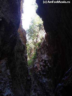 [P33]  -- <small>// FĂRĂ DESCRIERE</small> » foto by alinaro
 - 
<span class="allrVoted glyphicon glyphicon-heart hidden" id="av572682"></span>
<a class="m-l-10 hidden" id="sv572682" onclick="voting_Foto_DelVot(,572682,10280)" role="button">șterge vot <span class="glyphicon glyphicon-remove"></span></a>
<a id="v9572682" class=" c-red"  onclick="voting_Foto_SetVot(572682)" role="button"><span class="glyphicon glyphicon-heart-empty"></span> <b>LIKE</b> = Votează poza</a> <img class="hidden"  id="f572682W9" src="/imagini/loader.gif" border="0" /><span class="AjErrMes hidden" id="e572682ErM"></span>
