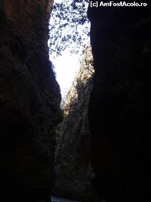 [P36]  -- <small>// FĂRĂ DESCRIERE</small> » foto by alinaro
 - 
<span class="allrVoted glyphicon glyphicon-heart hidden" id="av572685"></span>
<a class="m-l-10 hidden" id="sv572685" onclick="voting_Foto_DelVot(,572685,10280)" role="button">șterge vot <span class="glyphicon glyphicon-remove"></span></a>
<a id="v9572685" class=" c-red"  onclick="voting_Foto_SetVot(572685)" role="button"><span class="glyphicon glyphicon-heart-empty"></span> <b>LIKE</b> = Votează poza</a> <img class="hidden"  id="f572685W9" src="/imagini/loader.gif" border="0" /><span class="AjErrMes hidden" id="e572685ErM"></span>