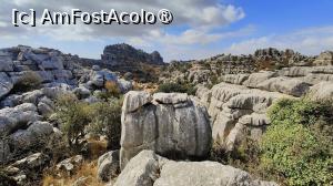 [P10]  -- <small>// FĂRĂ DESCRIERE</small> » foto by Maya_C
 - 
<span class="allrVoted glyphicon glyphicon-heart hidden" id="av1504320"></span>
<a class="m-l-10 hidden" id="sv1504320" onclick="voting_Foto_DelVot(,1504320,10280)" role="button">șterge vot <span class="glyphicon glyphicon-remove"></span></a>
<a id="v91504320" class=" c-red"  onclick="voting_Foto_SetVot(1504320)" role="button"><span class="glyphicon glyphicon-heart-empty"></span> <b>LIKE</b> = Votează poza</a> <img class="hidden"  id="f1504320W9" src="/imagini/loader.gif" border="0" /><span class="AjErrMes hidden" id="e1504320ErM"></span>