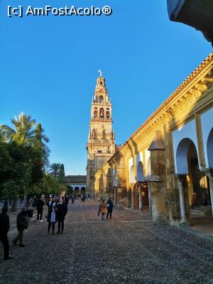[P14] În interiorul curții catedralei din Cordoba » foto by Marius 72
 - 
<span class="allrVoted glyphicon glyphicon-heart hidden" id="av1270121"></span>
<a class="m-l-10 hidden" id="sv1270121" onclick="voting_Foto_DelVot(,1270121,10280)" role="button">șterge vot <span class="glyphicon glyphicon-remove"></span></a>
<a id="v91270121" class=" c-red"  onclick="voting_Foto_SetVot(1270121)" role="button"><span class="glyphicon glyphicon-heart-empty"></span> <b>LIKE</b> = Votează poza</a> <img class="hidden"  id="f1270121W9" src="/imagini/loader.gif" border="0" /><span class="AjErrMes hidden" id="e1270121ErM"></span>