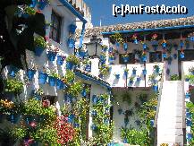 [P13] Cordoba - curte interioara » foto by contafa
 - 
<span class="allrVoted glyphicon glyphicon-heart hidden" id="av261140"></span>
<a class="m-l-10 hidden" id="sv261140" onclick="voting_Foto_DelVot(,261140,10280)" role="button">șterge vot <span class="glyphicon glyphicon-remove"></span></a>
<a id="v9261140" class=" c-red"  onclick="voting_Foto_SetVot(261140)" role="button"><span class="glyphicon glyphicon-heart-empty"></span> <b>LIKE</b> = Votează poza</a> <img class="hidden"  id="f261140W9" src="/imagini/loader.gif" border="0" /><span class="AjErrMes hidden" id="e261140ErM"></span>