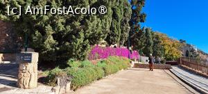 [P13] Bougainvillea pe aleea spre Gibralfaro, Málaga » foto by irinad
 - 
<span class="allrVoted glyphicon glyphicon-heart hidden" id="av1418750"></span>
<a class="m-l-10 hidden" id="sv1418750" onclick="voting_Foto_DelVot(,1418750,10280)" role="button">șterge vot <span class="glyphicon glyphicon-remove"></span></a>
<a id="v91418750" class=" c-red"  onclick="voting_Foto_SetVot(1418750)" role="button"><span class="glyphicon glyphicon-heart-empty"></span> <b>LIKE</b> = Votează poza</a> <img class="hidden"  id="f1418750W9" src="/imagini/loader.gif" border="0" /><span class="AjErrMes hidden" id="e1418750ErM"></span>