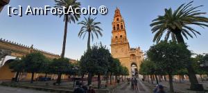 [P32] Catedrala-moschee, La Mezquita, din Córdoba » foto by irinad
 - 
<span class="allrVoted glyphicon glyphicon-heart hidden" id="av1418769"></span>
<a class="m-l-10 hidden" id="sv1418769" onclick="voting_Foto_DelVot(,1418769,10280)" role="button">șterge vot <span class="glyphicon glyphicon-remove"></span></a>
<a id="v91418769" class=" c-red"  onclick="voting_Foto_SetVot(1418769)" role="button"><span class="glyphicon glyphicon-heart-empty"></span> <b>LIKE</b> = Votează poza</a> <img class="hidden"  id="f1418769W9" src="/imagini/loader.gif" border="0" /><span class="AjErrMes hidden" id="e1418769ErM"></span>