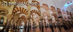 [P33] Pădurea de coloane din La Mezquita, Córdoba » foto by irinad
 - 
<span class="allrVoted glyphicon glyphicon-heart hidden" id="av1418770"></span>
<a class="m-l-10 hidden" id="sv1418770" onclick="voting_Foto_DelVot(,1418770,10280)" role="button">șterge vot <span class="glyphicon glyphicon-remove"></span></a>
<a id="v91418770" class=" c-red"  onclick="voting_Foto_SetVot(1418770)" role="button"><span class="glyphicon glyphicon-heart-empty"></span> <b>LIKE</b> = Votează poza</a> <img class="hidden"  id="f1418770W9" src="/imagini/loader.gif" border="0" /><span class="AjErrMes hidden" id="e1418770ErM"></span>