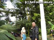 [P14] Sus se vede Glasshouse Walkway. In mod normal urci pe niste scari de fier in spirala si dai o tura pe sus, prin canopy. Cred insa ca era inchisa aceasta ruta. De asemenea citisem pe siteul lor ca lupta cu nu stiu ce insecta si inchid mai repede Palm House ..pe la 14:00. » foto by TraianS
 - 
<span class="allrVoted glyphicon glyphicon-heart hidden" id="av222835"></span>
<a class="m-l-10 hidden" id="sv222835" onclick="voting_Foto_DelVot(,222835,10282)" role="button">șterge vot <span class="glyphicon glyphicon-remove"></span></a>
<a id="v9222835" class=" c-red"  onclick="voting_Foto_SetVot(222835)" role="button"><span class="glyphicon glyphicon-heart-empty"></span> <b>LIKE</b> = Votează poza</a> <img class="hidden"  id="f222835W9" src="/imagini/loader.gif" border="0" /><span class="AjErrMes hidden" id="e222835ErM"></span>