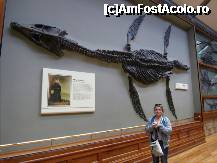 [P188] Mary Anning (1799-1847) - 'The greatest fossil hunter ever known was a woman'..Poza din 'Fossil Marine Reptiles' Green Zone. » foto by TraianS
 - 
<span class="allrVoted glyphicon glyphicon-heart hidden" id="av223358"></span>
<a class="m-l-10 hidden" id="sv223358" onclick="voting_Foto_DelVot(,223358,10282)" role="button">șterge vot <span class="glyphicon glyphicon-remove"></span></a>
<a id="v9223358" class=" c-red"  onclick="voting_Foto_SetVot(223358)" role="button"><span class="glyphicon glyphicon-heart-empty"></span> <b>LIKE</b> = Votează poza</a> <img class="hidden"  id="f223358W9" src="/imagini/loader.gif" border="0" /><span class="AjErrMes hidden" id="e223358ErM"></span>
