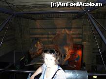 [P207] Triceratops. Dinosaurs (Blue Zone). Natural History Museum. » foto by TraianS
 - 
<span class="allrVoted glyphicon glyphicon-heart hidden" id="av223400"></span>
<a class="m-l-10 hidden" id="sv223400" onclick="voting_Foto_DelVot(,223400,10282)" role="button">șterge vot <span class="glyphicon glyphicon-remove"></span></a>
<a id="v9223400" class=" c-red"  onclick="voting_Foto_SetVot(223400)" role="button"><span class="glyphicon glyphicon-heart-empty"></span> <b>LIKE</b> = Votează poza</a> <img class="hidden"  id="f223400W9" src="/imagini/loader.gif" border="0" /><span class="AjErrMes hidden" id="e223400ErM"></span>