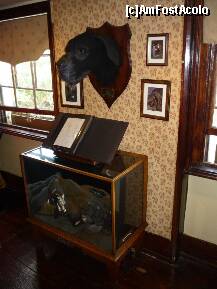 [P17] Muzeul Sherlock Holmes - etajul 3, câinele din Baskerville. » foto by Dragoș_MD
 - 
<span class="allrVoted glyphicon glyphicon-heart hidden" id="av205776"></span>
<a class="m-l-10 hidden" id="sv205776" onclick="voting_Foto_DelVot(,205776,10282)" role="button">șterge vot <span class="glyphicon glyphicon-remove"></span></a>
<a id="v9205776" class=" c-red"  onclick="voting_Foto_SetVot(205776)" role="button"><span class="glyphicon glyphicon-heart-empty"></span> <b>LIKE</b> = Votează poza</a> <img class="hidden"  id="f205776W9" src="/imagini/loader.gif" border="0" /><span class="AjErrMes hidden" id="e205776ErM"></span>