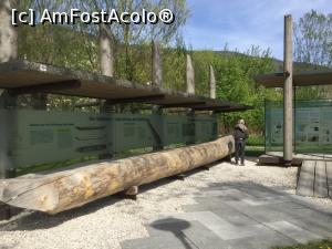 [P38] Mondsee-imi cer scuze, dar germana tot nu stiu ca sa va spun ce era cu acest trunchi » foto by mishu
 - 
<span class="allrVoted glyphicon glyphicon-heart hidden" id="av1161857"></span>
<a class="m-l-10 hidden" id="sv1161857" onclick="voting_Foto_DelVot(,1161857,10292)" role="button">șterge vot <span class="glyphicon glyphicon-remove"></span></a>
<a id="v91161857" class=" c-red"  onclick="voting_Foto_SetVot(1161857)" role="button"><span class="glyphicon glyphicon-heart-empty"></span> <b>LIKE</b> = Votează poza</a> <img class="hidden"  id="f1161857W9" src="/imagini/loader.gif" border="0" /><span class="AjErrMes hidden" id="e1161857ErM"></span>