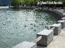 [P17] Rate de Mondsee cu mare durere de basca ! » foto by Alex_Macedo
 - 
<span class="allrVoted glyphicon glyphicon-heart hidden" id="av260193"></span>
<a class="m-l-10 hidden" id="sv260193" onclick="voting_Foto_DelVot(,260193,10292)" role="button">șterge vot <span class="glyphicon glyphicon-remove"></span></a>
<a id="v9260193" class=" c-red"  onclick="voting_Foto_SetVot(260193)" role="button"><span class="glyphicon glyphicon-heart-empty"></span> <b>LIKE</b> = Votează poza</a> <img class="hidden"  id="f260193W9" src="/imagini/loader.gif" border="0" /><span class="AjErrMes hidden" id="e260193ErM"></span>