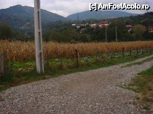 [P10] Accesul catre soseaua principala- nu este departe, pensiunea este vizibila din strada » foto by alb1573
 - 
<span class="allrVoted glyphicon glyphicon-heart hidden" id="av401271"></span>
<a class="m-l-10 hidden" id="sv401271" onclick="voting_Foto_DelVot(,401271,10299)" role="button">șterge vot <span class="glyphicon glyphicon-remove"></span></a>
<a id="v9401271" class=" c-red"  onclick="voting_Foto_SetVot(401271)" role="button"><span class="glyphicon glyphicon-heart-empty"></span> <b>LIKE</b> = Votează poza</a> <img class="hidden"  id="f401271W9" src="/imagini/loader.gif" border="0" /><span class="AjErrMes hidden" id="e401271ErM"></span>