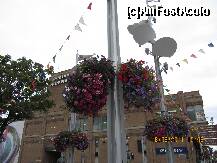 [P11] flori in apropierea catedralei si a centrului comercial » foto by a.sr*
 - 
<span class="allrVoted glyphicon glyphicon-heart hidden" id="av261060"></span>
<a class="m-l-10 hidden" id="sv261060" onclick="voting_Foto_DelVot(,261060,10308)" role="button">șterge vot <span class="glyphicon glyphicon-remove"></span></a>
<a id="v9261060" class=" c-red"  onclick="voting_Foto_SetVot(261060)" role="button"><span class="glyphicon glyphicon-heart-empty"></span> <b>LIKE</b> = Votează poza</a> <img class="hidden"  id="f261060W9" src="/imagini/loader.gif" border="0" /><span class="AjErrMes hidden" id="e261060ErM"></span>