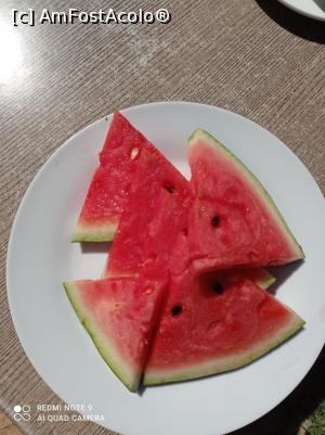 [P17] Cel mai bun pepene care l-am mancat de cativa ani » foto by PiticVerde
 - 
<span class="allrVoted glyphicon glyphicon-heart hidden" id="av1266542"></span>
<a class="m-l-10 hidden" id="sv1266542" onclick="voting_Foto_DelVot(,1266542,10319)" role="button">șterge vot <span class="glyphicon glyphicon-remove"></span></a>
<a id="v91266542" class=" c-red"  onclick="voting_Foto_SetVot(1266542)" role="button"><span class="glyphicon glyphicon-heart-empty"></span> <b>LIKE</b> = Votează poza</a> <img class="hidden"  id="f1266542W9" src="/imagini/loader.gif" border="0" /><span class="AjErrMes hidden" id="e1266542ErM"></span>