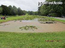 [P24] un lac imens, plin cu nuferi, chiar vis-a-vis de castel. puteti sa va dati seama cat de mare este acest domeniu. » foto by a.sr*
 - 
<span class="allrVoted glyphicon glyphicon-heart hidden" id="av261833"></span>
<a class="m-l-10 hidden" id="sv261833" onclick="voting_Foto_DelVot(,261833,10323)" role="button">șterge vot <span class="glyphicon glyphicon-remove"></span></a>
<a id="v9261833" class=" c-red"  onclick="voting_Foto_SetVot(261833)" role="button"><span class="glyphicon glyphicon-heart-empty"></span> <b>LIKE</b> = Votează poza</a> <img class="hidden"  id="f261833W9" src="/imagini/loader.gif" border="0" /><span class="AjErrMes hidden" id="e261833ErM"></span>
