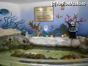 [P08] Irlanda - National Sea Life Centre din Bray, acvariul din holul de la intrare.  » foto by Diaura*
 - 
<span class="allrVoted glyphicon glyphicon-heart hidden" id="av457378"></span>
<a class="m-l-10 hidden" id="sv457378" onclick="voting_Foto_DelVot(,457378,10323)" role="button">șterge vot <span class="glyphicon glyphicon-remove"></span></a>
<a id="v9457378" class=" c-red"  onclick="voting_Foto_SetVot(457378)" role="button"><span class="glyphicon glyphicon-heart-empty"></span> <b>LIKE</b> = Votează poza</a> <img class="hidden"  id="f457378W9" src="/imagini/loader.gif" border="0" /><span class="AjErrMes hidden" id="e457378ErM"></span>