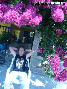 [P14] superbii oleandri » foto by nicococo*
 - 
<span class="allrVoted glyphicon glyphicon-heart hidden" id="av324741"></span>
<a class="m-l-10 hidden" id="sv324741" onclick="voting_Foto_DelVot(,324741,10352)" role="button">șterge vot <span class="glyphicon glyphicon-remove"></span></a>
<a id="v9324741" class=" c-red"  onclick="voting_Foto_SetVot(324741)" role="button"><span class="glyphicon glyphicon-heart-empty"></span> <b>LIKE</b> = Votează poza</a> <img class="hidden"  id="f324741W9" src="/imagini/loader.gif" border="0" /><span class="AjErrMes hidden" id="e324741ErM"></span>