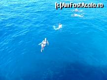 [P07] sarituri de pe vapor in mare . pur si simplu  plutesti pe apa » foto by nicococo*
 - 
<span class="allrVoted glyphicon glyphicon-heart hidden" id="av324734"></span>
<a class="m-l-10 hidden" id="sv324734" onclick="voting_Foto_DelVot(,324734,10352)" role="button">șterge vot <span class="glyphicon glyphicon-remove"></span></a>
<a id="v9324734" class=" c-red"  onclick="voting_Foto_SetVot(324734)" role="button"><span class="glyphicon glyphicon-heart-empty"></span> <b>LIKE</b> = Votează poza</a> <img class="hidden"  id="f324734W9" src="/imagini/loader.gif" border="0" /><span class="AjErrMes hidden" id="e324734ErM"></span>