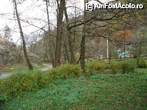 [P35] Valea Sibielului văzută din pensiunea Sibiel » foto by marocanu21
 - 
<span class="allrVoted glyphicon glyphicon-heart hidden" id="av488641"></span>
<a class="m-l-10 hidden" id="sv488641" onclick="voting_Foto_DelVot(,488641,10358)" role="button">șterge vot <span class="glyphicon glyphicon-remove"></span></a>
<a id="v9488641" class=" c-red"  onclick="voting_Foto_SetVot(488641)" role="button"><span class="glyphicon glyphicon-heart-empty"></span> <b>LIKE</b> = Votează poza</a> <img class="hidden"  id="f488641W9" src="/imagini/loader.gif" border="0" /><span class="AjErrMes hidden" id="e488641ErM"></span>