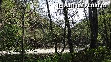 [P12] Loc de promenadă la umbra pădurii » foto by bog68
 - 
<span class="allrVoted glyphicon glyphicon-heart hidden" id="av495521"></span>
<a class="m-l-10 hidden" id="sv495521" onclick="voting_Foto_DelVot(,495521,10358)" role="button">șterge vot <span class="glyphicon glyphicon-remove"></span></a>
<a id="v9495521" class=" c-red"  onclick="voting_Foto_SetVot(495521)" role="button"><span class="glyphicon glyphicon-heart-empty"></span> <b>LIKE</b> = Votează poza</a> <img class="hidden"  id="f495521W9" src="/imagini/loader.gif" border="0" /><span class="AjErrMes hidden" id="e495521ErM"></span>