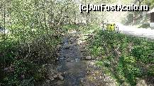 [P06] Râul Sibiel ce curge pe lângă pensiune » foto by bog68
 - 
<span class="allrVoted glyphicon glyphicon-heart hidden" id="av495515"></span>
<a class="m-l-10 hidden" id="sv495515" onclick="voting_Foto_DelVot(,495515,10358)" role="button">șterge vot <span class="glyphicon glyphicon-remove"></span></a>
<a id="v9495515" class=" c-red"  onclick="voting_Foto_SetVot(495515)" role="button"><span class="glyphicon glyphicon-heart-empty"></span> <b>LIKE</b> = Votează poza</a> <img class="hidden"  id="f495515W9" src="/imagini/loader.gif" border="0" /><span class="AjErrMes hidden" id="e495515ErM"></span>