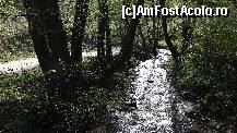 [P09] Susurul râului Sibiel » foto by bog68
 - 
<span class="allrVoted glyphicon glyphicon-heart hidden" id="av495518"></span>
<a class="m-l-10 hidden" id="sv495518" onclick="voting_Foto_DelVot(,495518,10358)" role="button">șterge vot <span class="glyphicon glyphicon-remove"></span></a>
<a id="v9495518" class=" c-red"  onclick="voting_Foto_SetVot(495518)" role="button"><span class="glyphicon glyphicon-heart-empty"></span> <b>LIKE</b> = Votează poza</a> <img class="hidden"  id="f495518W9" src="/imagini/loader.gif" border="0" /><span class="AjErrMes hidden" id="e495518ErM"></span>