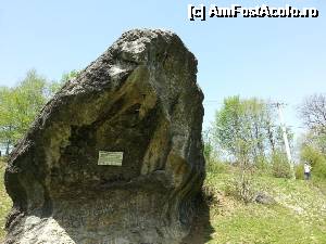 [P17]  ,,Pietroiul reptilo-amfibiano-brotaco-varan” pozat de sub gușă » foto by bog68
 - 
<span class="allrVoted glyphicon glyphicon-heart hidden" id="av495647"></span>
<a class="m-l-10 hidden" id="sv495647" onclick="voting_Foto_DelVot(,495647,10358)" role="button">șterge vot <span class="glyphicon glyphicon-remove"></span></a>
<a id="v9495647" class=" c-red"  onclick="voting_Foto_SetVot(495647)" role="button"><span class="glyphicon glyphicon-heart-empty"></span> <b>LIKE</b> = Votează poza</a> <img class="hidden"  id="f495647W9" src="/imagini/loader.gif" border="0" /><span class="AjErrMes hidden" id="e495647ErM"></span>
