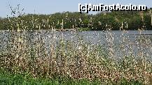 [P10] Lacul cu stuful lui cu tăt...  » foto by bog68
 - 
<span class="allrVoted glyphicon glyphicon-heart hidden" id="av495857"></span>
<a class="m-l-10 hidden" id="sv495857" onclick="voting_Foto_DelVot(,495857,10358)" role="button">șterge vot <span class="glyphicon glyphicon-remove"></span></a>
<a id="v9495857" class=" c-red"  onclick="voting_Foto_SetVot(495857)" role="button"><span class="glyphicon glyphicon-heart-empty"></span> <b>LIKE</b> = Votează poza</a> <img class="hidden"  id="f495857W9" src="/imagini/loader.gif" border="0" /><span class="AjErrMes hidden" id="e495857ErM"></span>