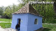 [P15] O minicapelă. Colegul de tabară încerca să pozeze ce-i înăuntru. Am reușit și eu...  » foto by bog68
 - 
<span class="allrVoted glyphicon glyphicon-heart hidden" id="av495862"></span>
<a class="m-l-10 hidden" id="sv495862" onclick="voting_Foto_DelVot(,495862,10358)" role="button">șterge vot <span class="glyphicon glyphicon-remove"></span></a>
<a id="v9495862" class=" c-red"  onclick="voting_Foto_SetVot(495862)" role="button"><span class="glyphicon glyphicon-heart-empty"></span> <b>LIKE</b> = Votează poza</a> <img class="hidden"  id="f495862W9" src="/imagini/loader.gif" border="0" /><span class="AjErrMes hidden" id="e495862ErM"></span>