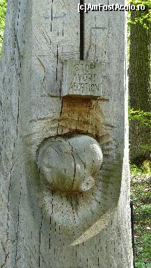 [P04] O sculptură în lemn cu un mesaj prețios » foto by bog68
 - 
<span class="allrVoted glyphicon glyphicon-heart hidden" id="av495851"></span>
<a class="m-l-10 hidden" id="sv495851" onclick="voting_Foto_DelVot(,495851,10358)" role="button">șterge vot <span class="glyphicon glyphicon-remove"></span></a>
<a id="v9495851" class=" c-red"  onclick="voting_Foto_SetVot(495851)" role="button"><span class="glyphicon glyphicon-heart-empty"></span> <b>LIKE</b> = Votează poza</a> <img class="hidden"  id="f495851W9" src="/imagini/loader.gif" border="0" /><span class="AjErrMes hidden" id="e495851ErM"></span>