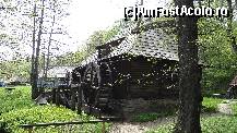 [P06] Moară de apă... sau cu apă...  » foto by bog68
 - 
<span class="allrVoted glyphicon glyphicon-heart hidden" id="av495853"></span>
<a class="m-l-10 hidden" id="sv495853" onclick="voting_Foto_DelVot(,495853,10358)" role="button">șterge vot <span class="glyphicon glyphicon-remove"></span></a>
<a id="v9495853" class=" c-red"  onclick="voting_Foto_SetVot(495853)" role="button"><span class="glyphicon glyphicon-heart-empty"></span> <b>LIKE</b> = Votează poza</a> <img class="hidden"  id="f495853W9" src="/imagini/loader.gif" border="0" /><span class="AjErrMes hidden" id="e495853ErM"></span>