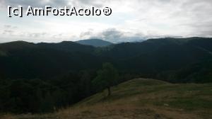 [P34] Pășunile alpine dintre Rășinari și Păltiniș » foto by adialexe
 - 
<span class="allrVoted glyphicon glyphicon-heart hidden" id="av893674"></span>
<a class="m-l-10 hidden" id="sv893674" onclick="voting_Foto_DelVot(,893674,10358)" role="button">șterge vot <span class="glyphicon glyphicon-remove"></span></a>
<a id="v9893674" class=" c-red"  onclick="voting_Foto_SetVot(893674)" role="button"><span class="glyphicon glyphicon-heart-empty"></span> <b>LIKE</b> = Votează poza</a> <img class="hidden"  id="f893674W9" src="/imagini/loader.gif" border="0" /><span class="AjErrMes hidden" id="e893674ErM"></span>