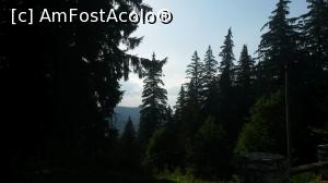 [P37] Brazi impozanti. O marcă a Păltinișului » foto by adialexe
 - 
<span class="allrVoted glyphicon glyphicon-heart hidden" id="av893678"></span>
<a class="m-l-10 hidden" id="sv893678" onclick="voting_Foto_DelVot(,893678,10358)" role="button">șterge vot <span class="glyphicon glyphicon-remove"></span></a>
<a id="v9893678" class=" c-red"  onclick="voting_Foto_SetVot(893678)" role="button"><span class="glyphicon glyphicon-heart-empty"></span> <b>LIKE</b> = Votează poza</a> <img class="hidden"  id="f893678W9" src="/imagini/loader.gif" border="0" /><span class="AjErrMes hidden" id="e893678ErM"></span>