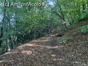 [P30] Tilișca,spre cetatea dacică » foto by AZE
 - 
<span class="allrVoted glyphicon glyphicon-heart hidden" id="av1390510"></span>
<a class="m-l-10 hidden" id="sv1390510" onclick="voting_Foto_DelVot(,1390510,10358)" role="button">șterge vot <span class="glyphicon glyphicon-remove"></span></a>
<a id="v91390510" class=" c-red"  onclick="voting_Foto_SetVot(1390510)" role="button"><span class="glyphicon glyphicon-heart-empty"></span> <b>LIKE</b> = Votează poza</a> <img class="hidden"  id="f1390510W9" src="/imagini/loader.gif" border="0" /><span class="AjErrMes hidden" id="e1390510ErM"></span>