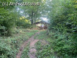 [P36] Tilișca,spre cetatea dacică,se vede fortificația » foto by AZE
 - 
<span class="allrVoted glyphicon glyphicon-heart hidden" id="av1390516"></span>
<a class="m-l-10 hidden" id="sv1390516" onclick="voting_Foto_DelVot(,1390516,10358)" role="button">șterge vot <span class="glyphicon glyphicon-remove"></span></a>
<a id="v91390516" class=" c-red"  onclick="voting_Foto_SetVot(1390516)" role="button"><span class="glyphicon glyphicon-heart-empty"></span> <b>LIKE</b> = Votează poza</a> <img class="hidden"  id="f1390516W9" src="/imagini/loader.gif" border="0" /><span class="AjErrMes hidden" id="e1390516ErM"></span>