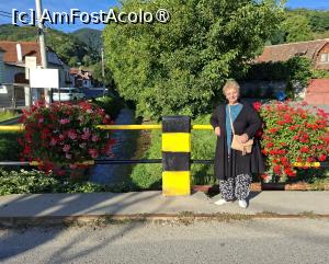 [P15] Podul peste pârâul Sighiel » foto by Carmen Ion
 - 
<span class="allrVoted glyphicon glyphicon-heart hidden" id="av1510378"></span>
<a class="m-l-10 hidden" id="sv1510378" onclick="voting_Foto_DelVot(,1510378,10358)" role="button">șterge vot <span class="glyphicon glyphicon-remove"></span></a>
<a id="v91510378" class=" c-red"  onclick="voting_Foto_SetVot(1510378)" role="button"><span class="glyphicon glyphicon-heart-empty"></span> <b>LIKE</b> = Votează poza</a> <img class="hidden"  id="f1510378W9" src="/imagini/loader.gif" border="0" /><span class="AjErrMes hidden" id="e1510378ErM"></span>