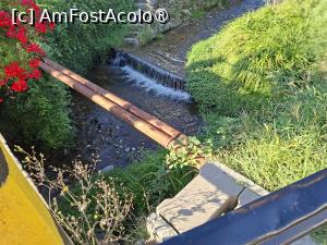 [P20] Podul peste pârâul Sighiel » foto by Carmen Ion
 - 
<span class="allrVoted glyphicon glyphicon-heart hidden" id="av1510383"></span>
<a class="m-l-10 hidden" id="sv1510383" onclick="voting_Foto_DelVot(,1510383,10358)" role="button">șterge vot <span class="glyphicon glyphicon-remove"></span></a>
<a id="v91510383" class=" c-red"  onclick="voting_Foto_SetVot(1510383)" role="button"><span class="glyphicon glyphicon-heart-empty"></span> <b>LIKE</b> = Votează poza</a> <img class="hidden"  id="f1510383W9" src="/imagini/loader.gif" border="0" /><span class="AjErrMes hidden" id="e1510383ErM"></span>