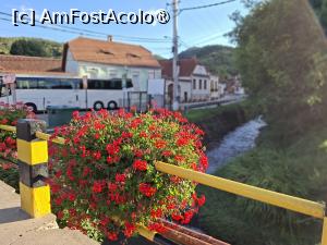 [P07] Podul peste pârâul Sighiel » foto by Carmen Ion
 - 
<span class="allrVoted glyphicon glyphicon-heart hidden" id="av1510370"></span>
<a class="m-l-10 hidden" id="sv1510370" onclick="voting_Foto_DelVot(,1510370,10358)" role="button">șterge vot <span class="glyphicon glyphicon-remove"></span></a>
<a id="v91510370" class=" c-red"  onclick="voting_Foto_SetVot(1510370)" role="button"><span class="glyphicon glyphicon-heart-empty"></span> <b>LIKE</b> = Votează poza</a> <img class="hidden"  id="f1510370W9" src="/imagini/loader.gif" border="0" /><span class="AjErrMes hidden" id="e1510370ErM"></span>